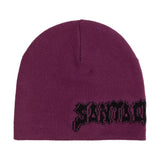 Bonnet Santa Cruz Punk Strip Fresh Purple