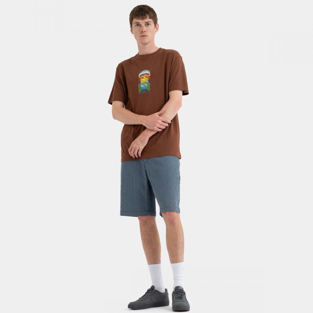Tee-shirt Santa Cruz Kendall EOTW Front Sepia Brown