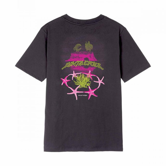 Tee-shirt femme Santa Cruz Natural Bridges Black Wash