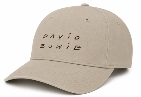 Casquette American Needle David Bowie Ballpark Stone Black