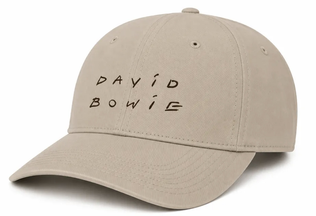 Casquette American Needle David Bowie Ballpark Stone Black
