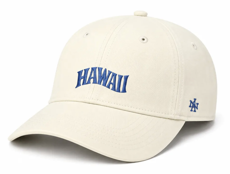 Casquette American Needle Destination Hawaii Ballpark Fence White