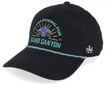 Casquette American Needle NP Grand Canyon Palmer Black