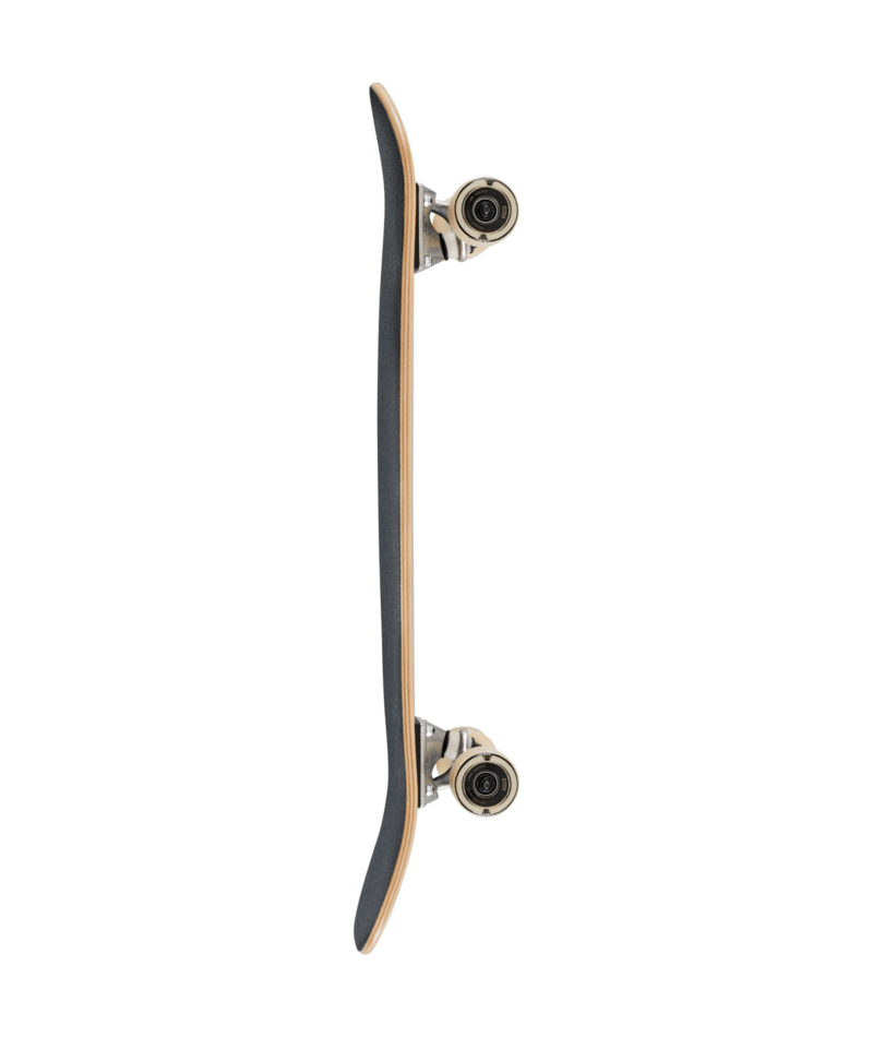 Cruiser complet Globe Tracer Neue C0 Amber Current 31"