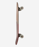 Tracer Neue