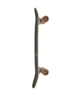 Tracer Neue