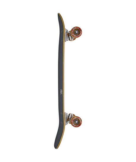Tracer Neue
