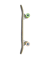 Skateboard complet Globe Kids Softie 83 Micro Cacti Guy 7,125"
