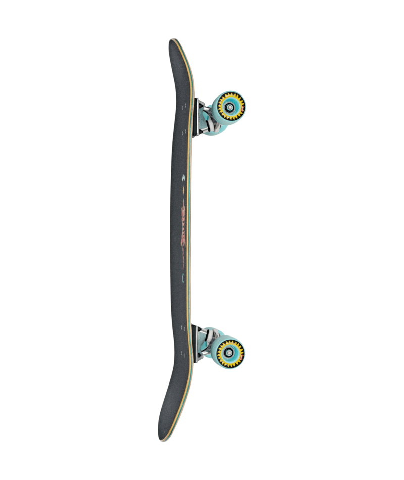 Cruiser complet Globe Big Bad Bruiser Lotus 33"