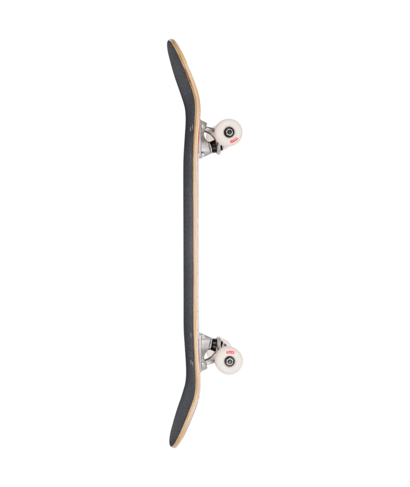 Skateboard complet Globe G0 Hive Blizzard 7,75"