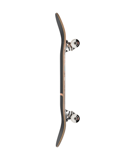Skateboard complet Globe G1 Visitation Terra Bay 8,25"