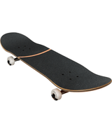 Skateboard complet Globe G1 Visitation Terra Bay 8,25"