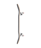 Skateboard complet Globe G0 Unfussed Technotrap 8,25"