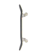 Cruiser complet Globe Hammer Shore/P Mac 9"
