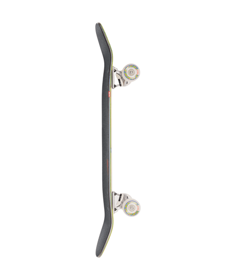 Cruiser complet Globe Hammer Shore/P Mac 9"