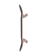 Skateboard complet Globe G2 Stitch-Up Spiders Web 8,25"